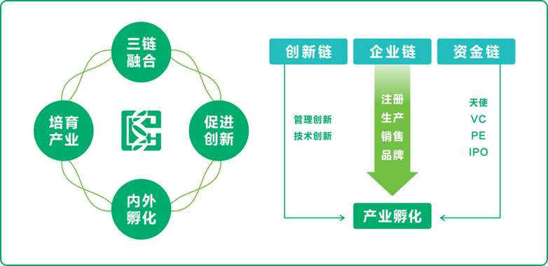 瓦力游戏基因赋能生物医药全链发展