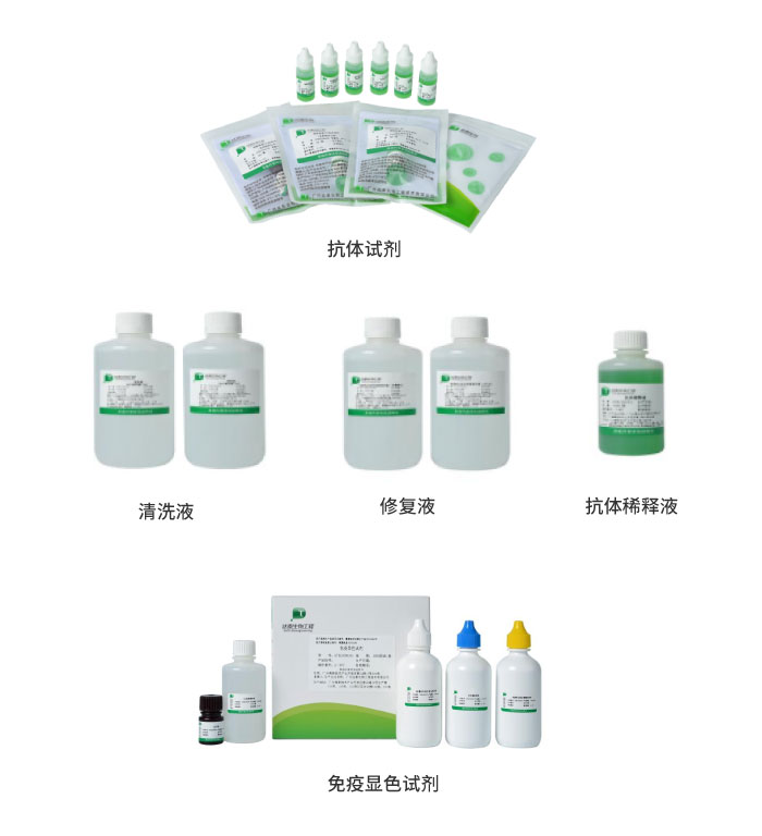 2024061219075569 瓦力游戏| 首页 -瓦力出品,必属精品